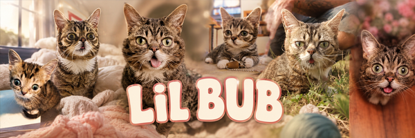 Lil BUB banner